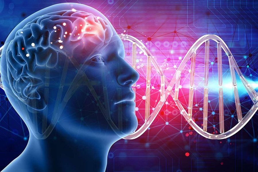 Що таке генетична пам'ять і як їй користуватися? "