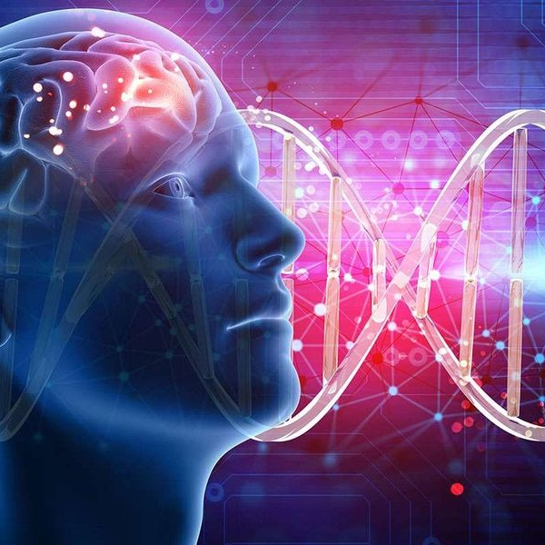 Що таке генетична пам'ять і як їй користуватися? "